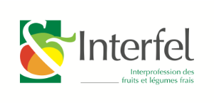 logo Interfel